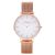 Como Milano Trendsetters women's watch CM013.304.1RG