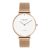 Como Milano Diamond women's watch CM033.304.1RG